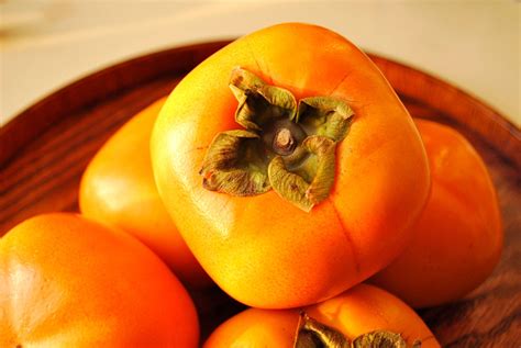 5 Japanese Persimmon Tree Asian Diospyros Kaki Orange Red Fruit Flower