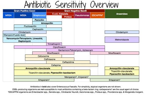 Antibiotic Sensitivity Chart Etsy