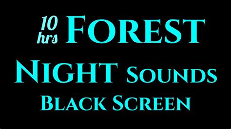 10 Hours Of Forest Sounds At Night Black Screen For Sleep Sleep
