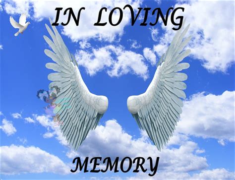 3d Heaven Overlay Pngin Loving Memoryrip Wingsheavenrest Etsy Ireland
