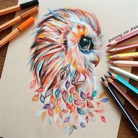 Creative And Simple Color Pencil Drawings Ideas Baykuş Desen