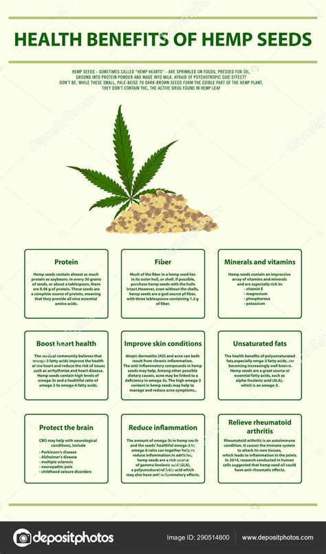 health benefits of hemp seeds vertical infographic — stock vector © about time 290514800