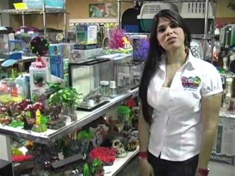 Service after the sale is something you will come to expect when you shop at pet city houston. Exotic Pet Store - La Tienda para una Mascota Feliz - YouTube