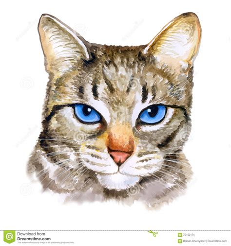 Watercolor Colseup Portrait Of Ojos Azules Breed Cat With Blue Eyes On
