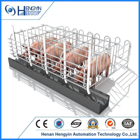 Galvanizing Steel Pig Crate Gestation Stall China Pig Crate And Pig