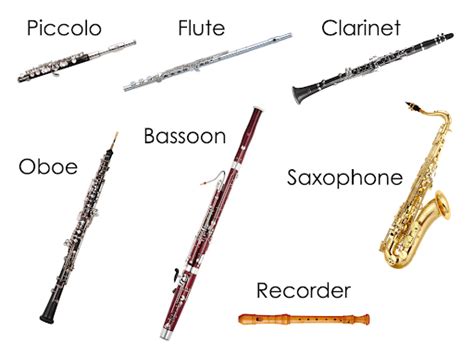 Learning Music Instruments What Are Wind Instruments