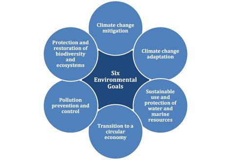 The Eu Taxonomy Seven Pillars Institute