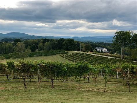 Three Sisters Vineyards And Winery Dahlonega 2020 All You Need To