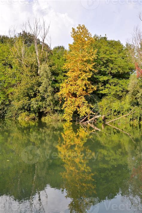 Trees Along The River 21546244 Stock Photo At Vecteezy