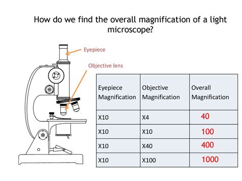 Click here to jump straight to the exception to diverging lenses. Microscope Measurement - презентация онлайн