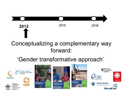 a gender transformative approach why what and how