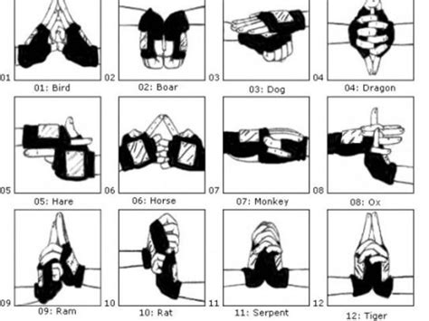 Which Ultimate Naruto Jutsu Should You Use Naruto Hand Signs Naruto