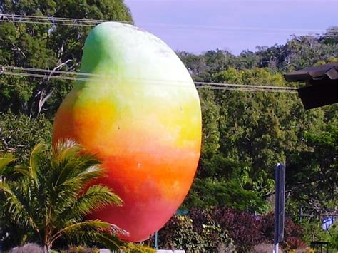 Nandos Big Mango Heist Was To Promote New Dish Daily Mercury