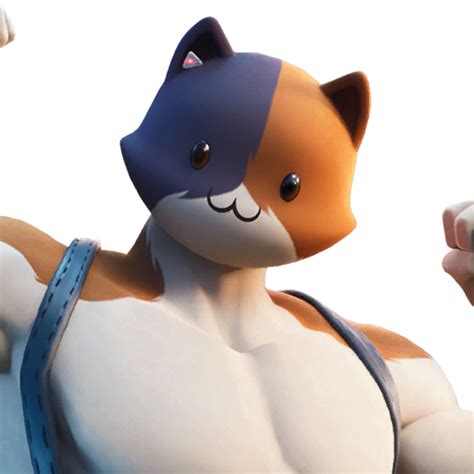 Fortnite Meowscles Skin Png Styles Pictures