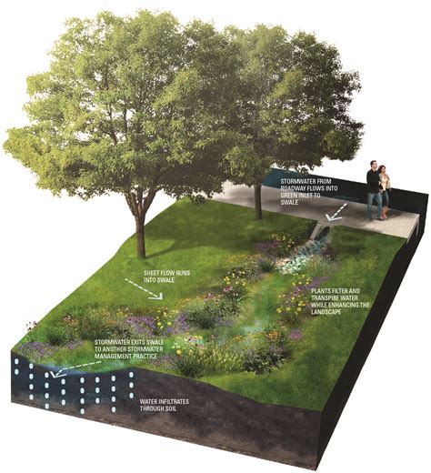 Swales Green Stormwater Infrastructure