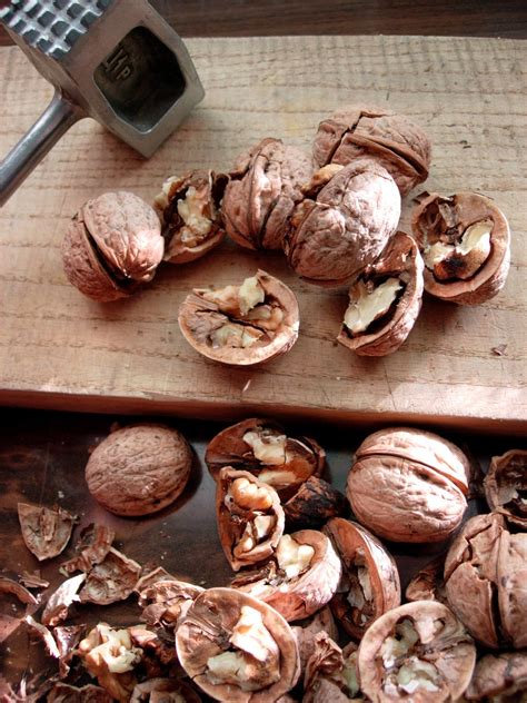 Cracking nuts 2 Free Stock Photo | FreeImages