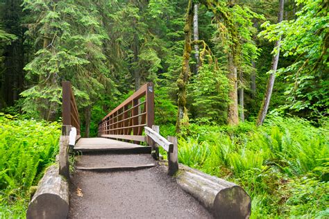 10 Reasons To Visit Olympic National Park Postcards To Seattle