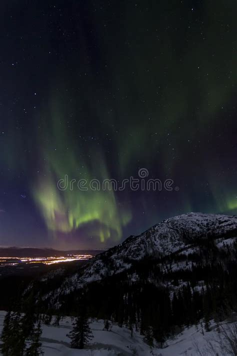 Northern Lights Aurora Borealis Over Whitehorse Yukon Territory