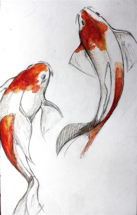 Koi Fish By Lulupapercranes On DeviantArt In Koi Fish Drawing Fish Drawings Koi Art