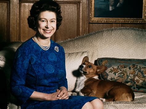 Introducing the queen's green canopy! Blimey! Queen's beloved Corgi breed may be deemed ...