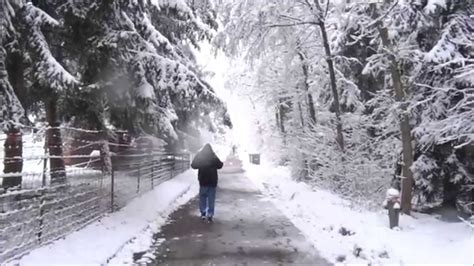 Video search results for snowfall. Snowfall in Switzerland - YouTube