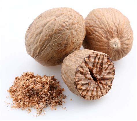 Nutmeg Tree Uses History Description And Facts Britannica