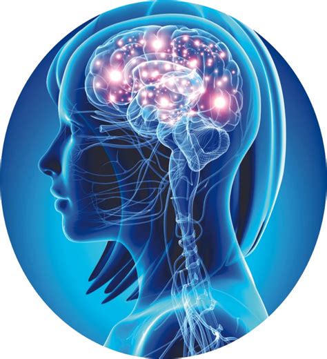 Brain Balance For Optimal Health Energetic Anatomy Mark J Rich