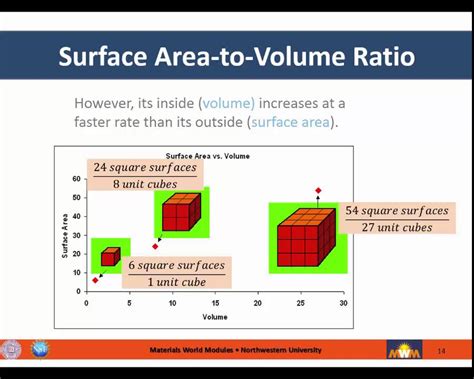 Surface Area To Volume Ratio Tutorial Youtube