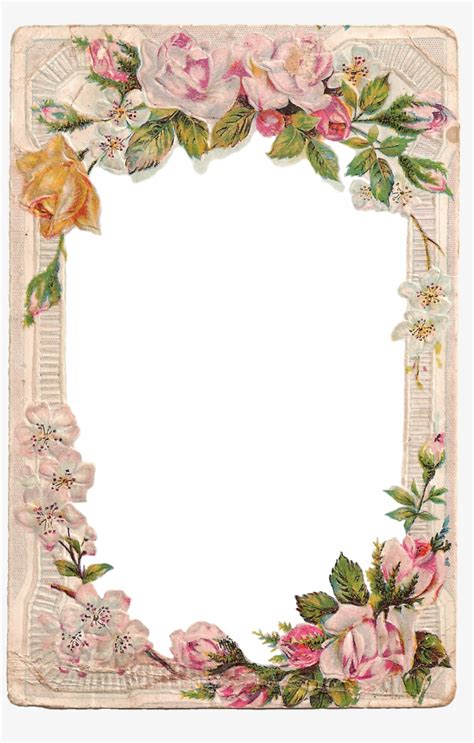 Flower Borders And Frames