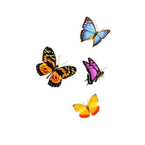 Download Flying Butterfly Png Image Background Transparent Background