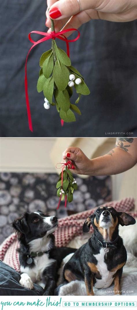 Diy Crepe Paper Mistletoe To Hang In Your Home Diy Holiday Ts