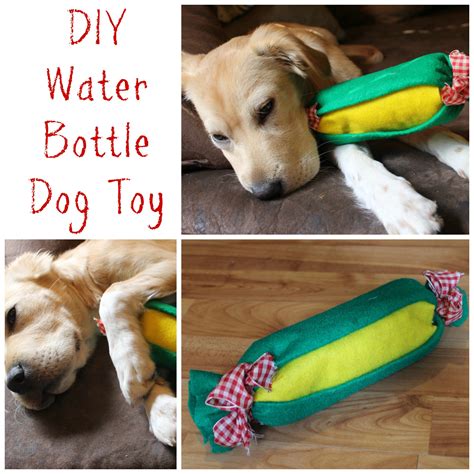 Easy Diy Water Bottle Dog Toy