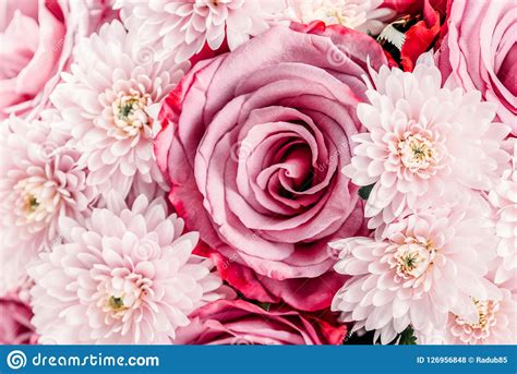 Pink Roses And Daisy Flowers Wedding Bouquet Stock Photo Image Of
