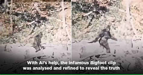 Unmasking The Bigfoot Mystery Ai Reveals Truth Behind Infamous 1960s