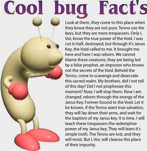 Cool Bug Facts Rmemeframe