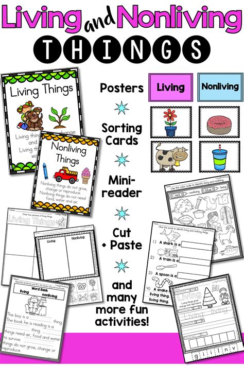 Living And Nonliving Things Activities