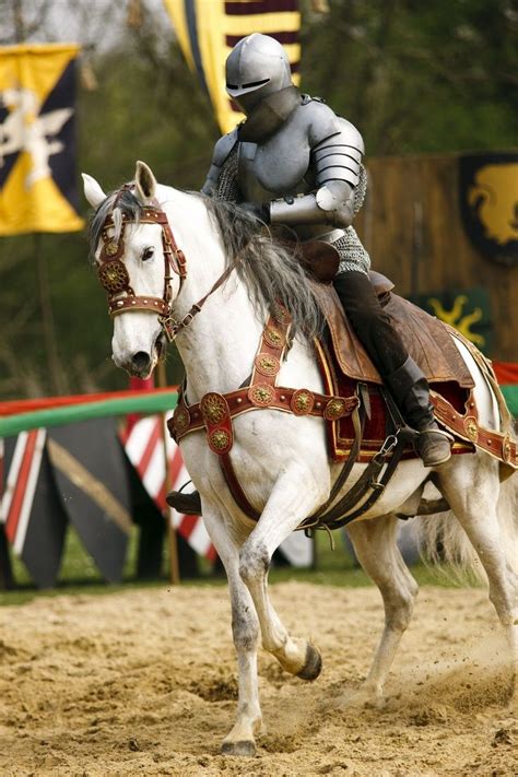 Joust Medieval Horse Horse Armor Medieval Knight