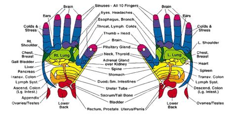 Hand Reflexology Healing By Pressing Reflex Points On Hands