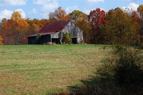 Big Woods Barn In The Fall Pinterest Kentucky