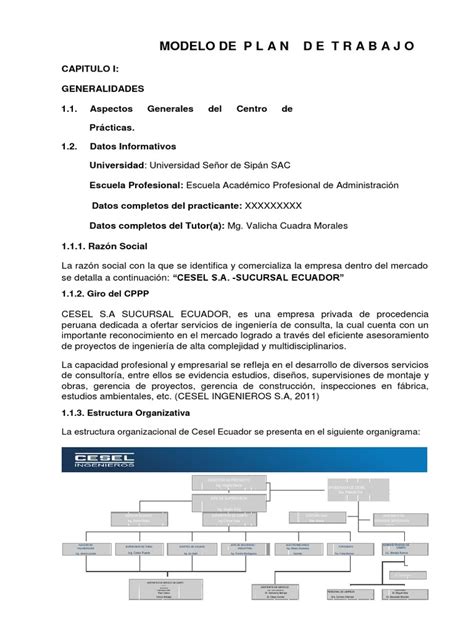 Modelo De Informe De Plan De Trabajo Ppp 2017 1 Ingeniería Ecuador