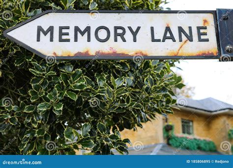 Take A Trip Down Memory Lane Signpost With Holly Background Stock Image Image Of Holly