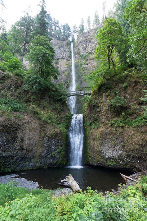Multnomah Falls In The Columbia River Gorge In Oregon