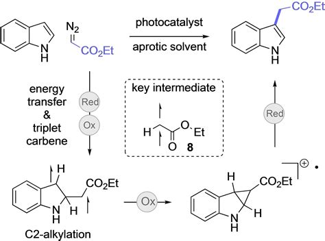 Ch Functionalization Of Heterocycles With Triplet Carbenes By Means Of