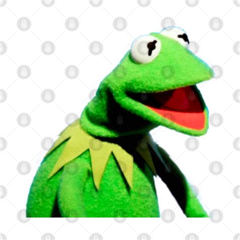 Kermit Shocked Kermit The Frog T Shirt Teepublic