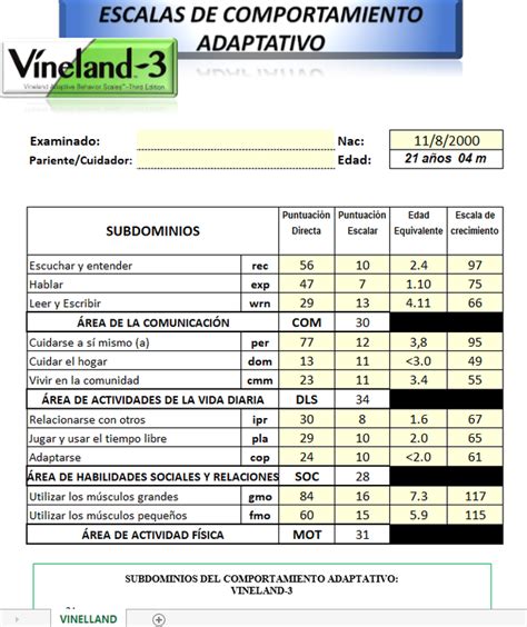 Vineland 3 corrección con Software VINELAND 3 ESCALAS DE