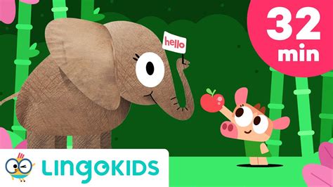 Animal Songs For Kids Cowy Has An Elephant 🐘💗 Lingokids Youtube