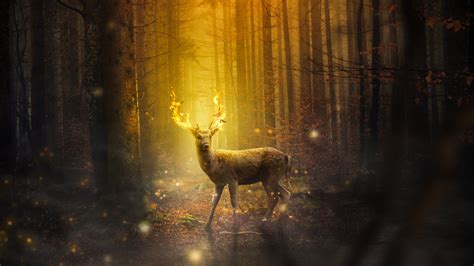 Gray Deer Deer Fire Forest Hd Wallpaper Wallpaper Flare