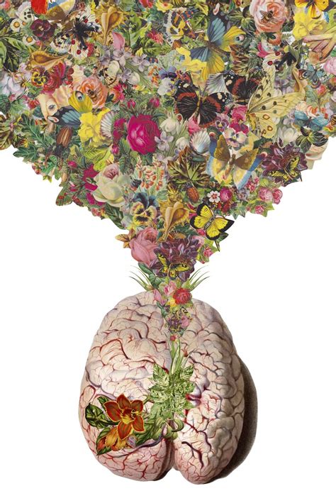 New Anatomical Collages By Travis Bedel — Colossal Arte Cerebro