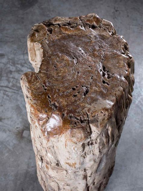 Huge Petrified Tree Trunk Pedestal Column Table On Custom Iron Stand