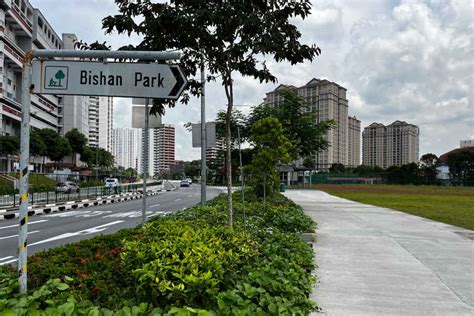 Bishan Ang Mo Kio Park Complete Guide • The Gees Travel
